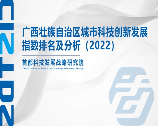 欧美干大B【成果发布】广西壮族自治区城市科技创新发展指数排名及分析（2022）